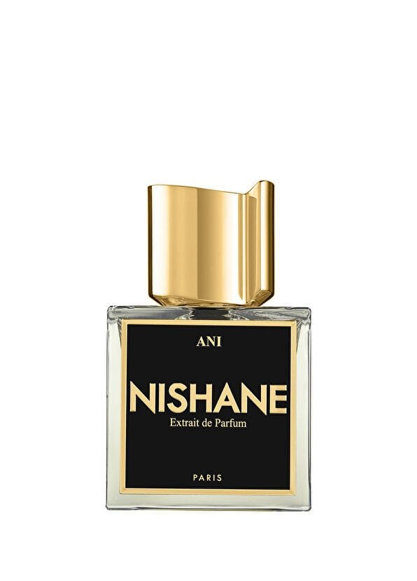 Nishane Ani Dekant