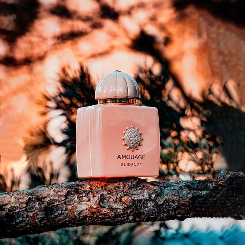 Amouage Guidance
